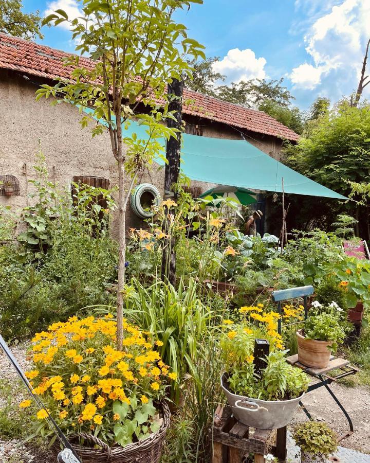 Pension Kirschberg Bretleben Exterior photo
